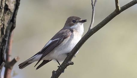 Foto 57 van Oude Hammerweg 11-A