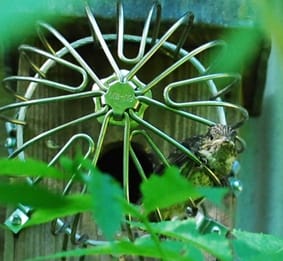 Foto 58 van Oude Hammerweg 11-A