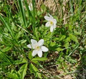 Foto 59 van Oude Hammerweg 11-A