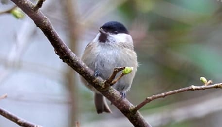 Foto 60 van Oude Hammerweg 11-A