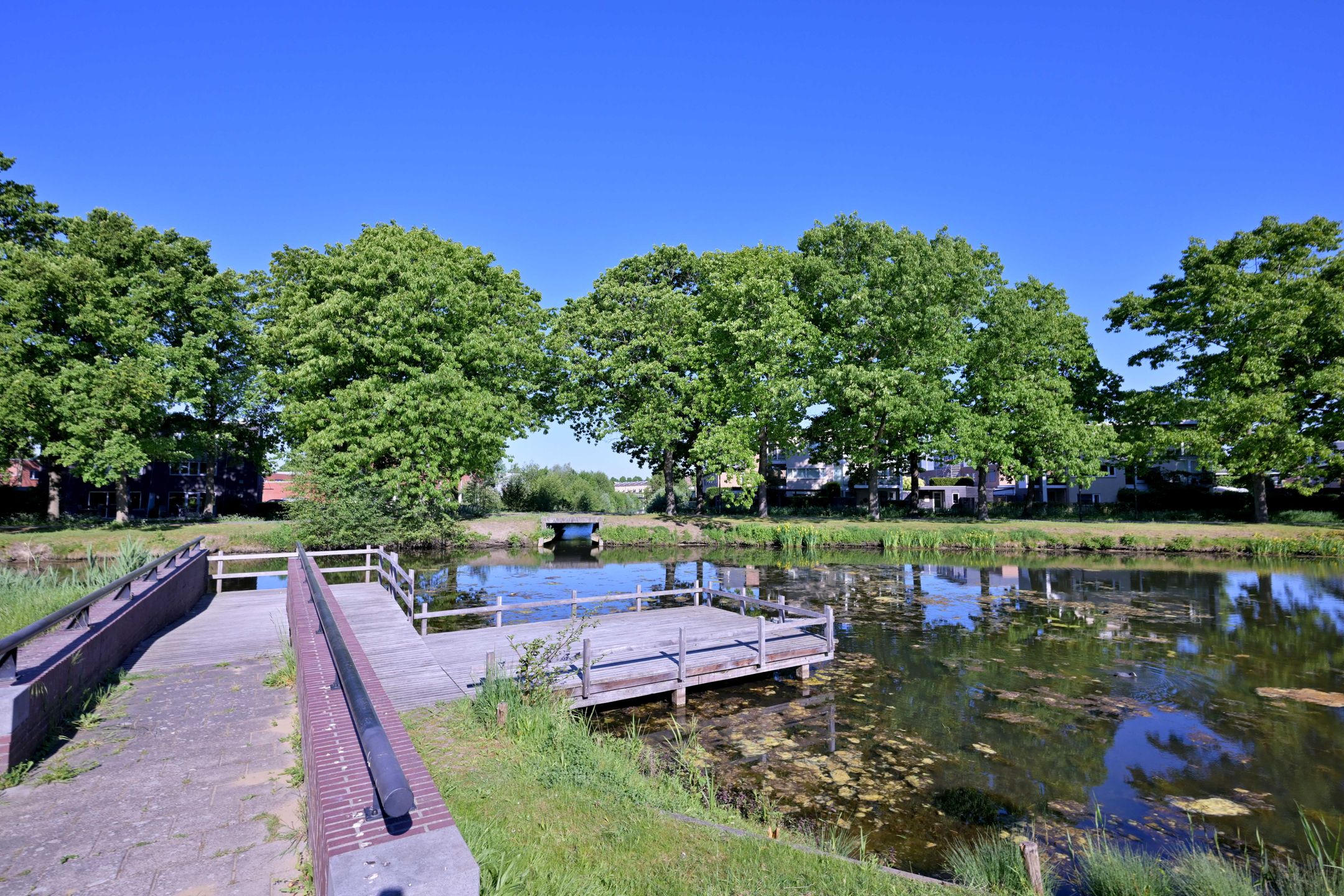 Foto 39 van Richard Holstraat 25