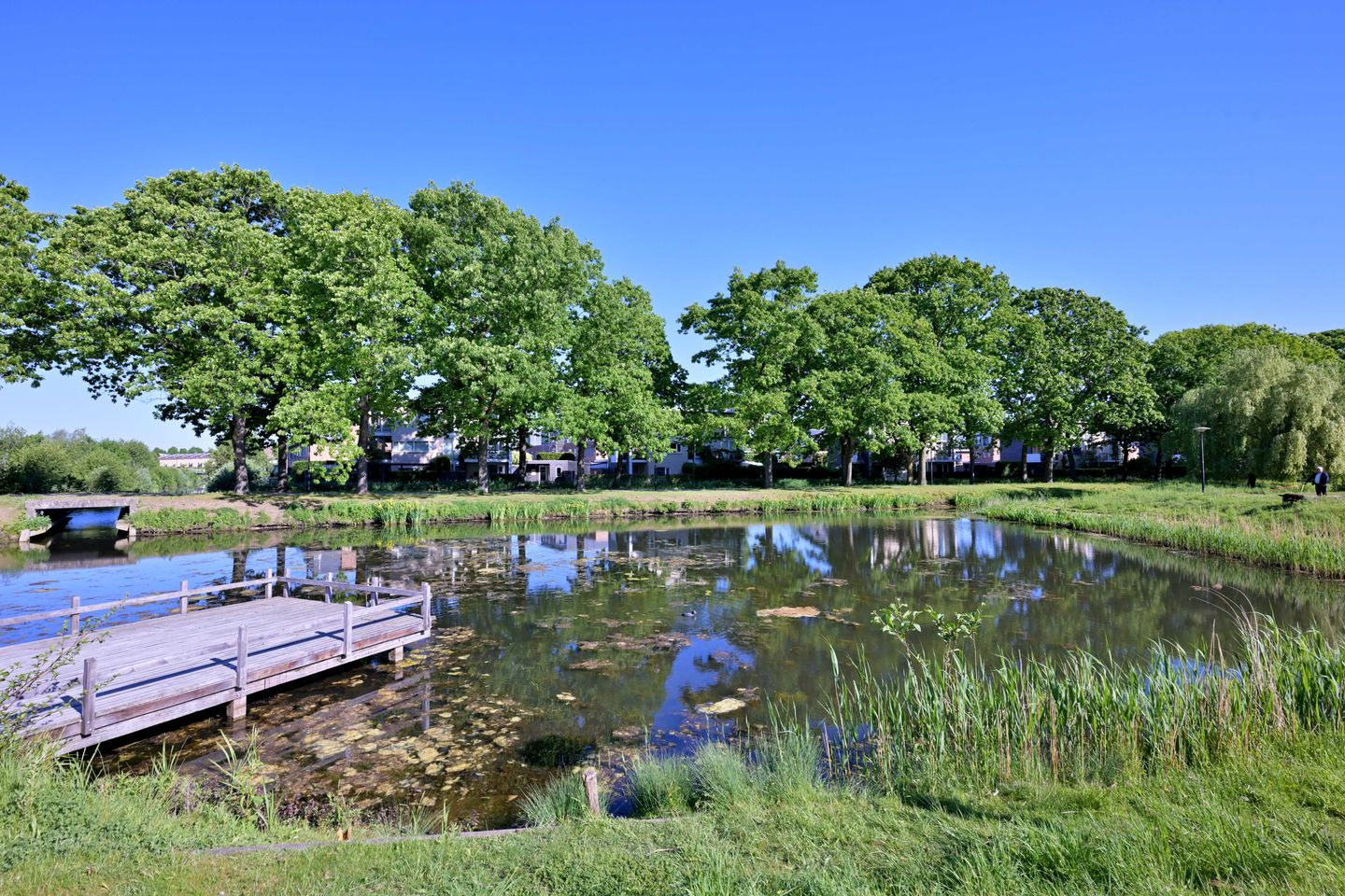 Foto 40 van Richard Holstraat 25