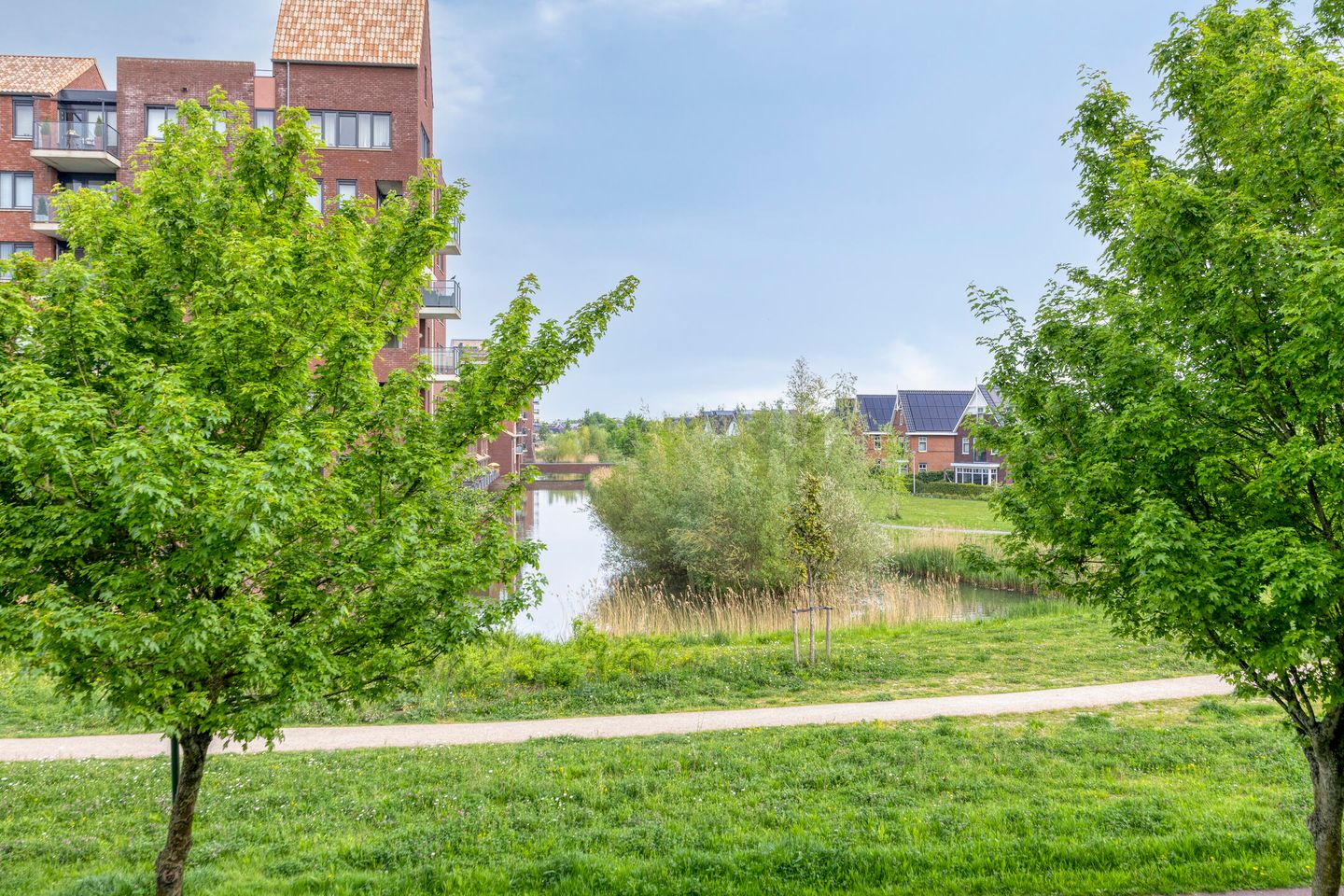 Foto 10 van Parelgras 88