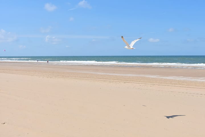 Foto 61 van Schelvisstraat 7