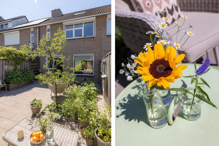 Foto 21 van Het Lover 17