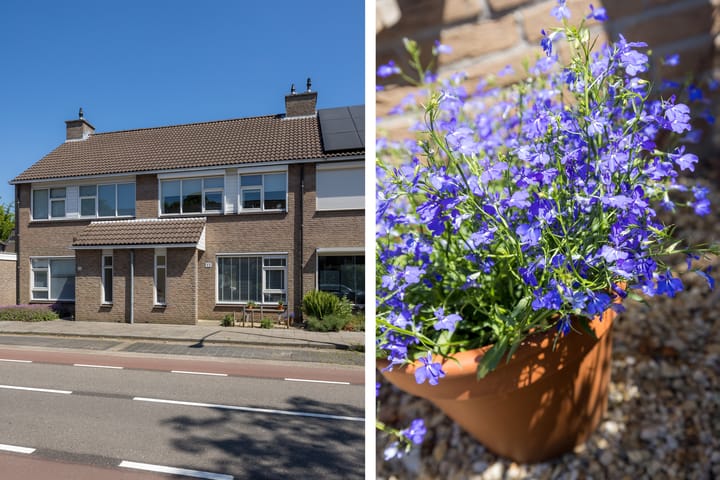 Foto 39 van Het Lover 17