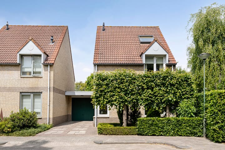 Foto 2 van Bieslook 10