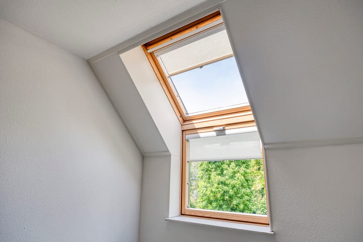 Foto 25 van Bieslook 10