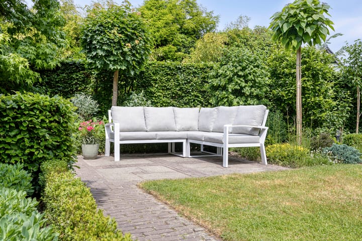 Foto 38 van Bieslook 10