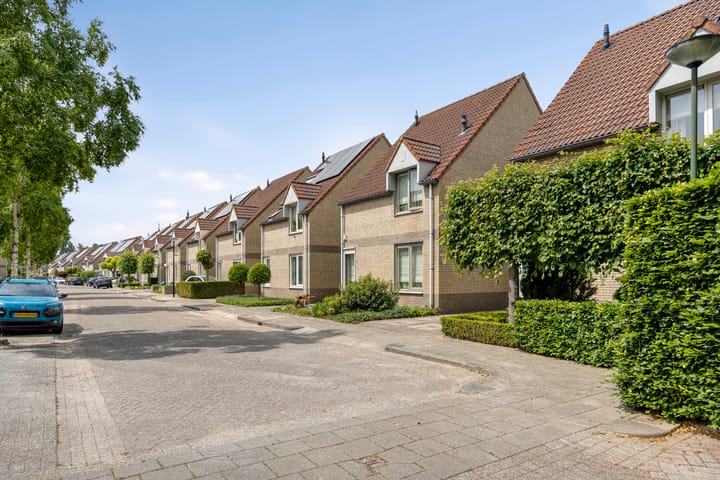 Foto 43 van Bieslook 10