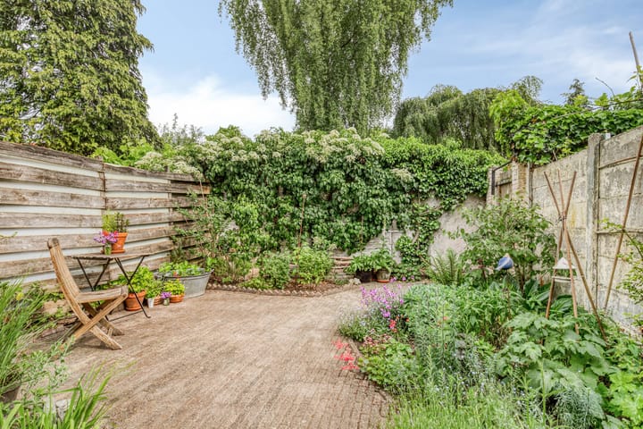 Foto 24 van Coehoornstraat 64