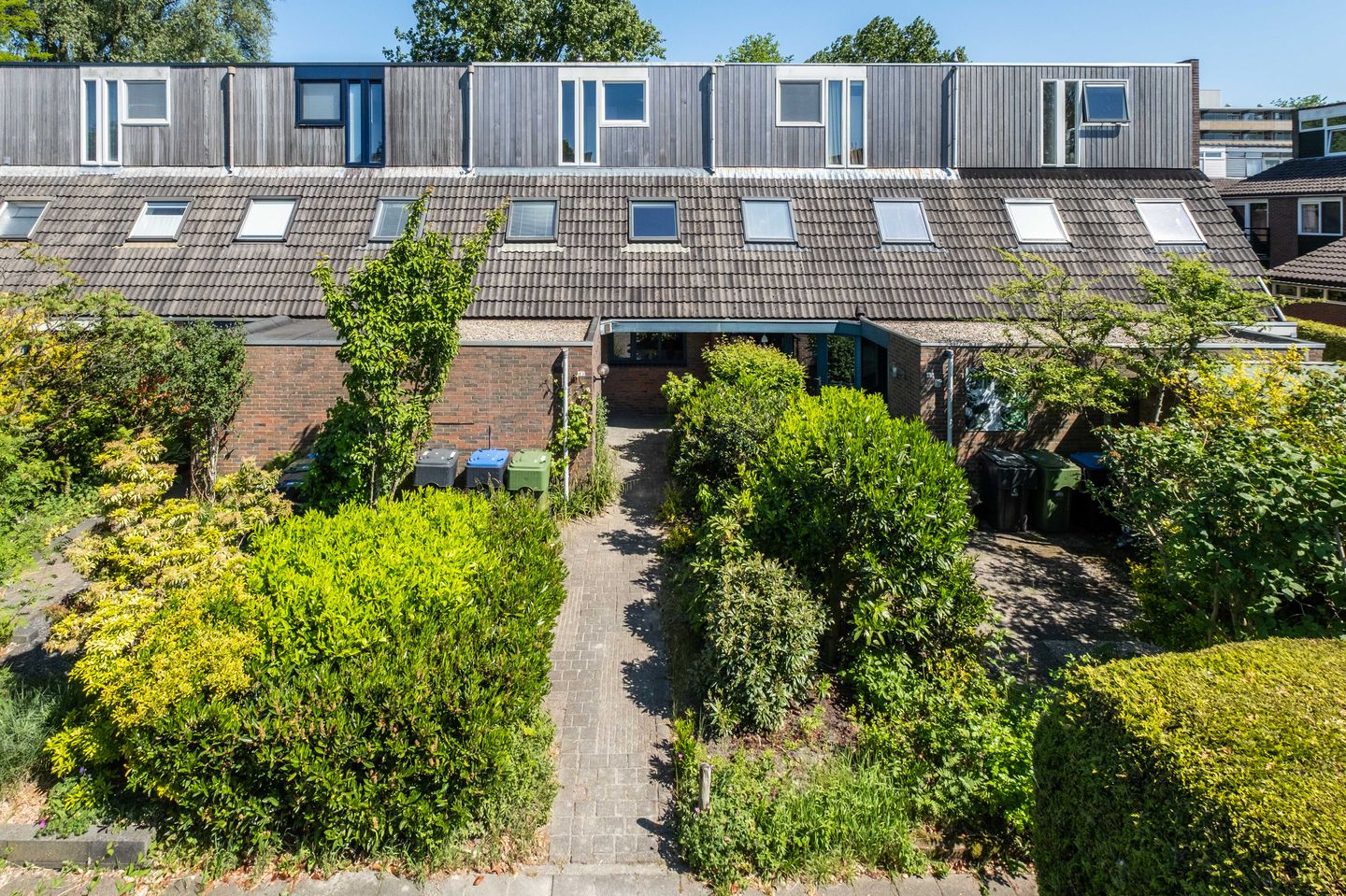 Foto 1 van Zwenkgras 63