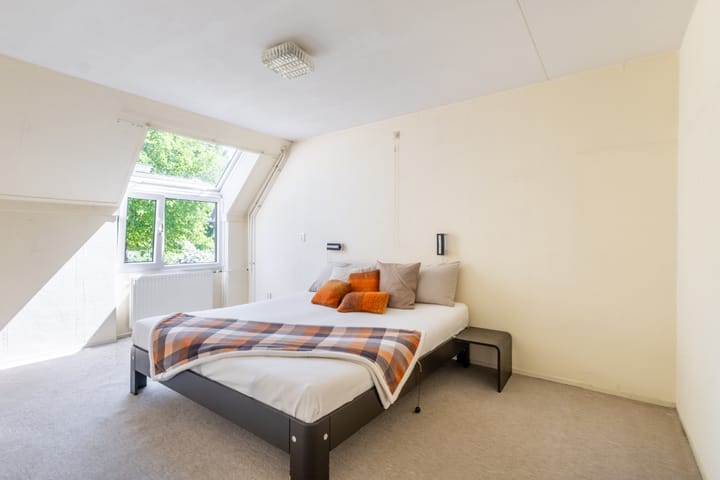 Foto 5 van Zwenkgras 63