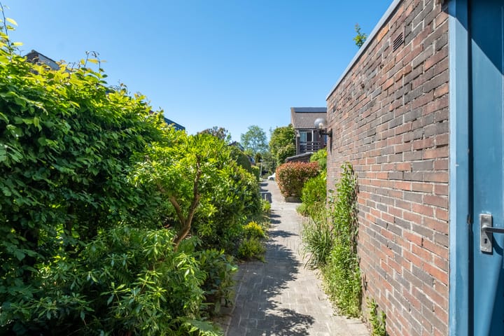 Foto 7 van Zwenkgras 63