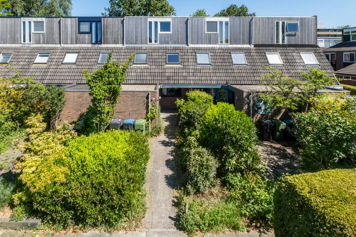 Foto 8 van Zwenkgras 63