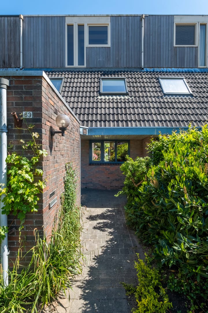 Foto 9 van Zwenkgras 63