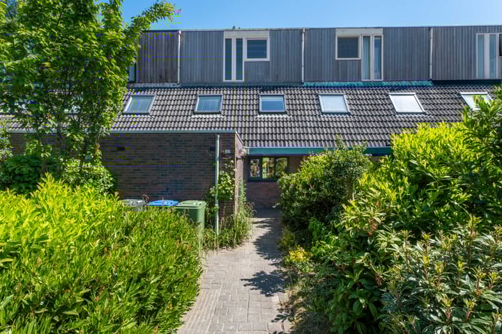 Foto 10 van Zwenkgras 63