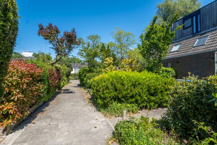 Foto 11 van Zwenkgras 63