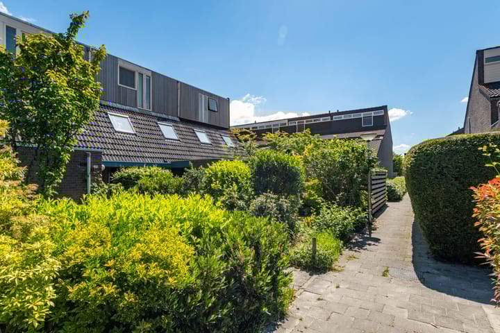 Foto 12 van Zwenkgras 63