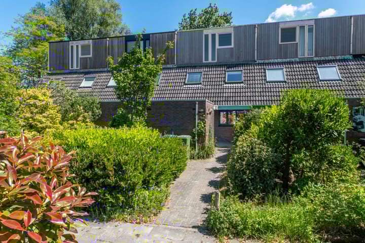 Foto 13 van Zwenkgras 63