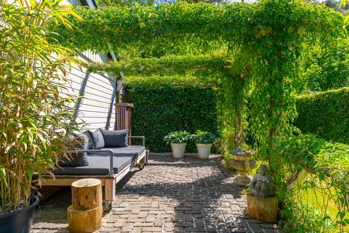 Foto 8 van Dodeweg 16