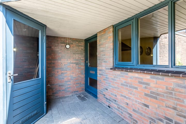 Foto 14 van Zwenkgras 63