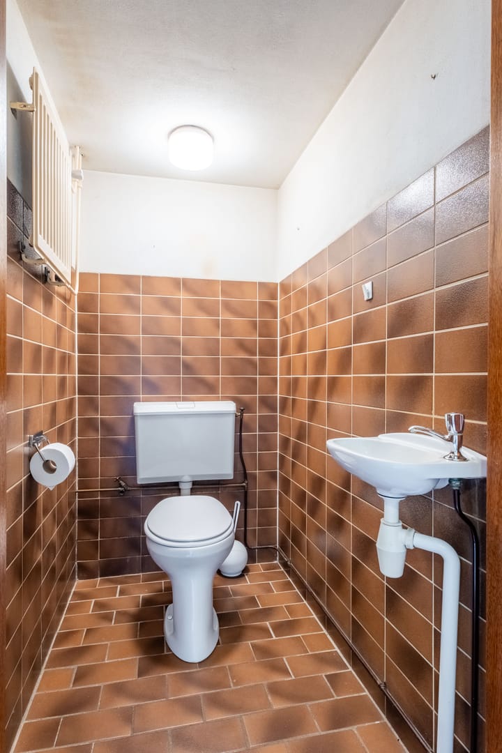 Foto 15 van Zwenkgras 63