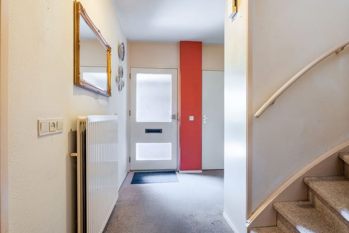 Foto 16 van Zwenkgras 63