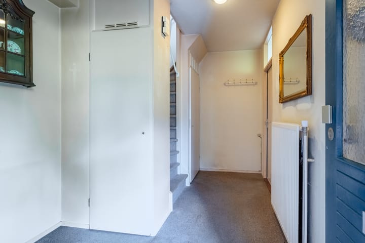 Foto 17 van Zwenkgras 63