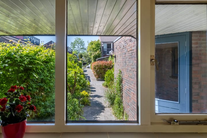 Foto 24 van Zwenkgras 63