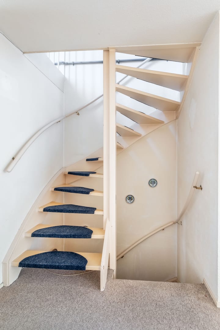 Foto 31 van Zwenkgras 63