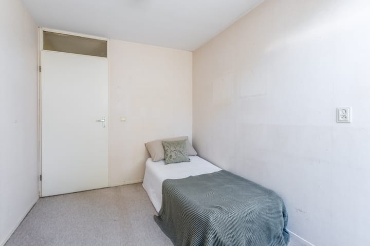 Foto 33 van Zwenkgras 63