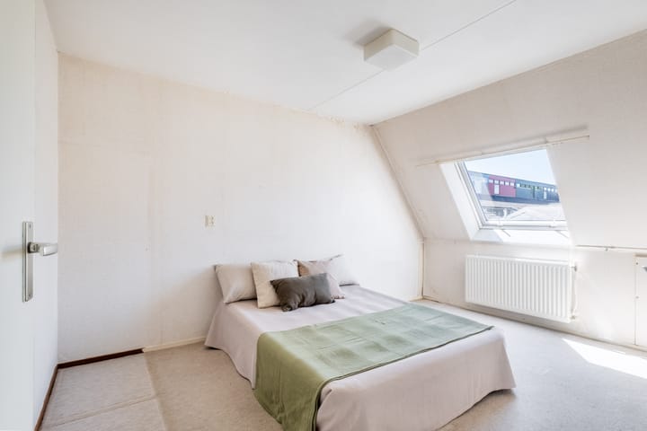 Foto 38 van Zwenkgras 63