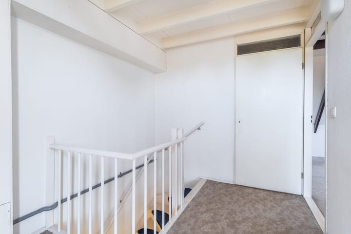 Foto 43 van Zwenkgras 63