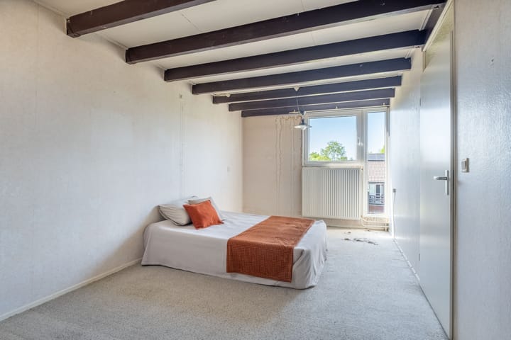 Foto 45 van Zwenkgras 63