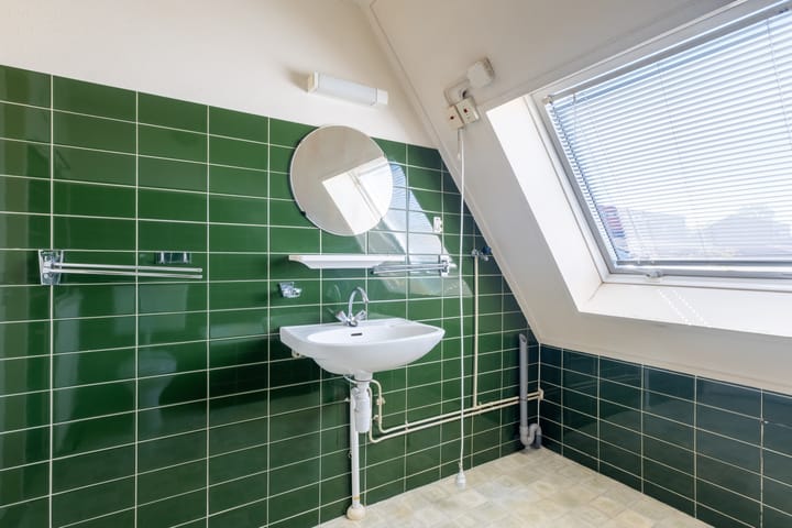 Foto 47 van Zwenkgras 63