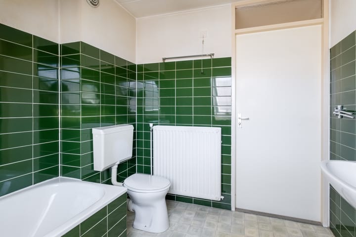 Foto 48 van Zwenkgras 63