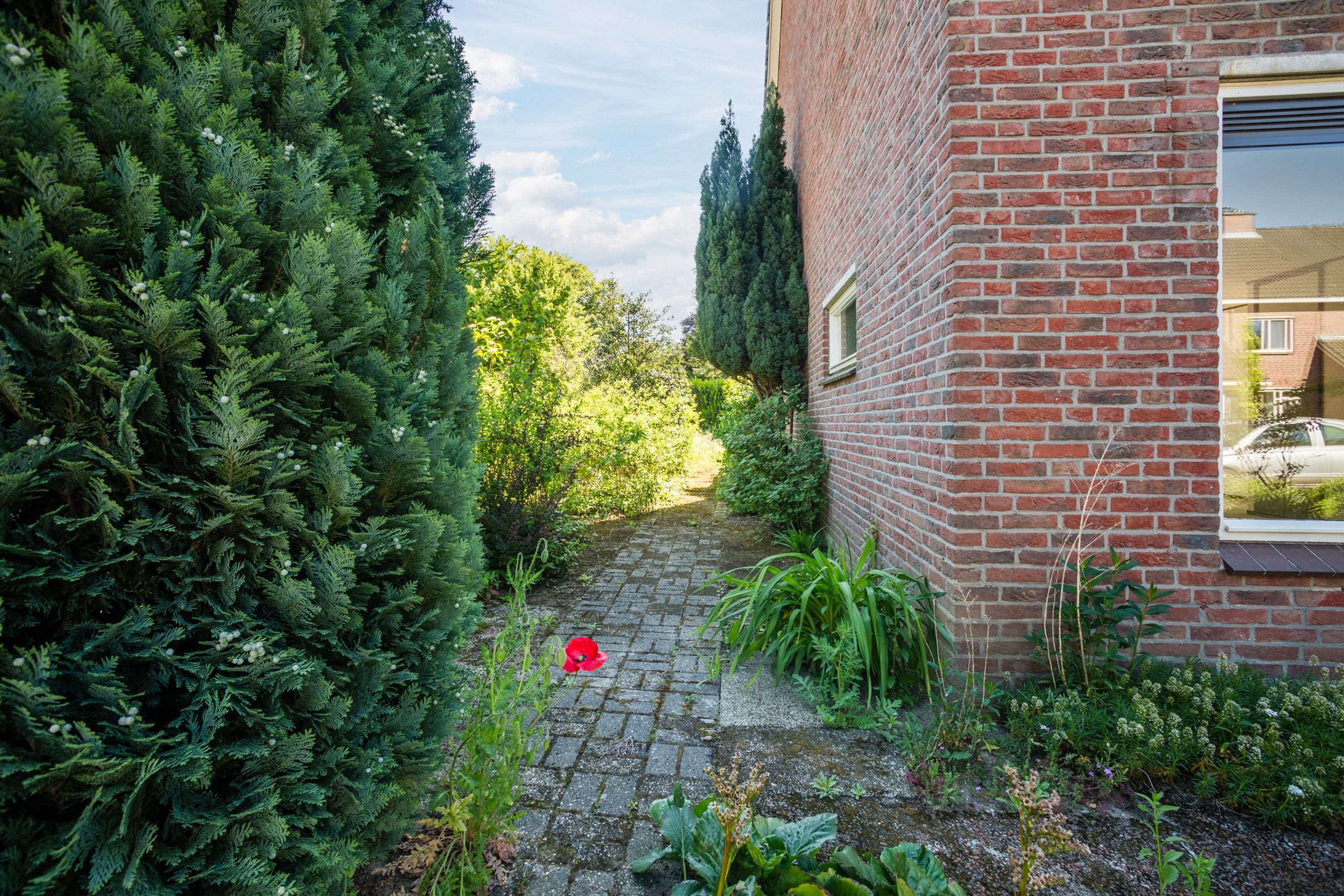 Foto 30 van De Zuylenkamp 38