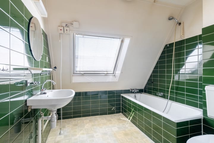 Foto 50 van Zwenkgras 63