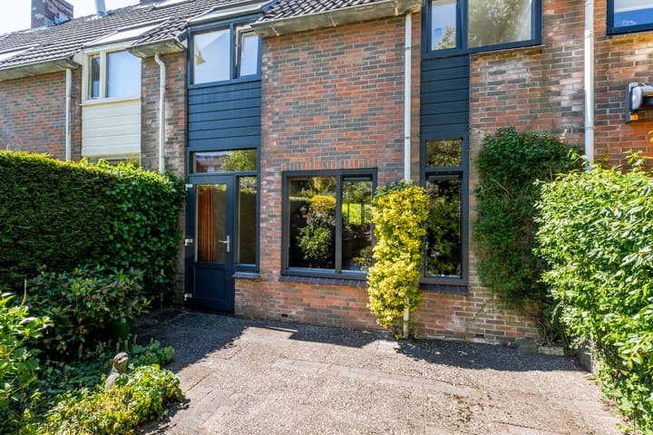 Foto 51 van Zwenkgras 63