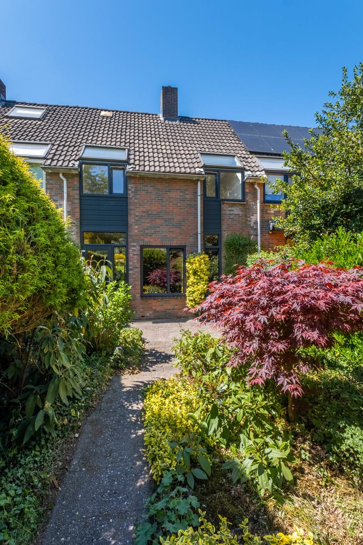 Foto 52 van Zwenkgras 63