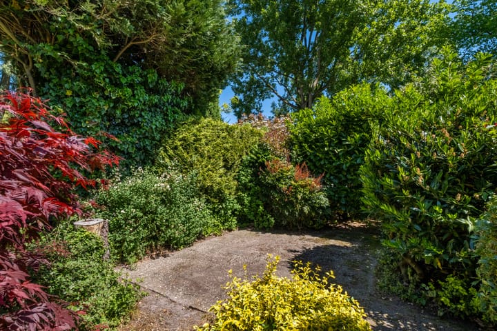 Foto 54 van Zwenkgras 63