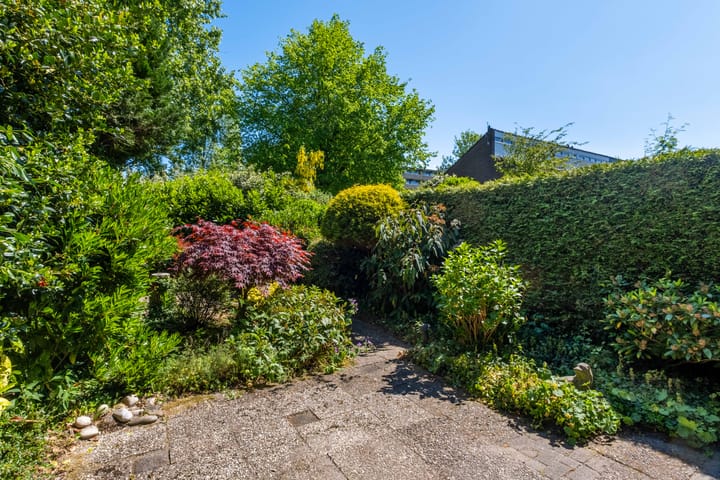 Foto 55 van Zwenkgras 63