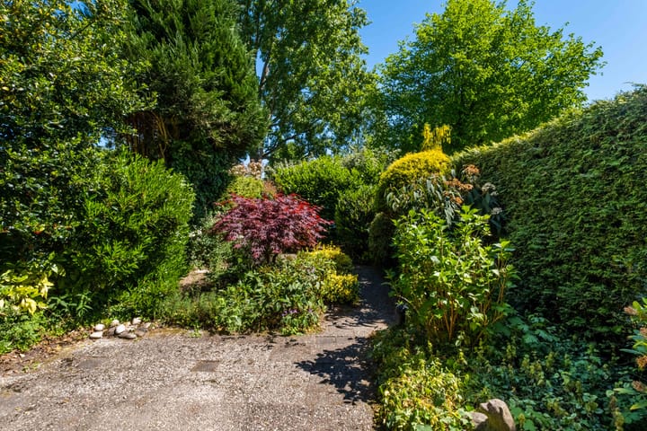 Foto 56 van Zwenkgras 63