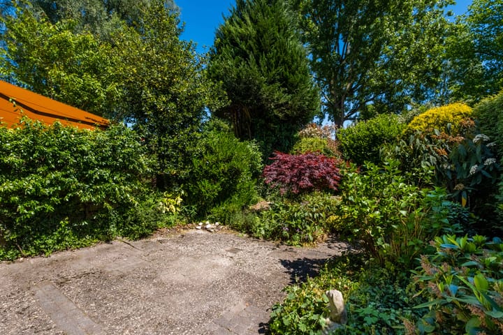 Foto 57 van Zwenkgras 63