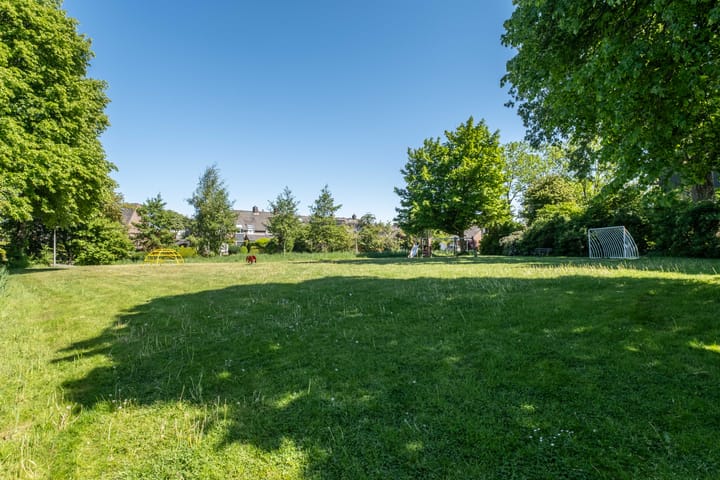 Foto 58 van Zwenkgras 63