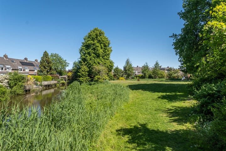 Foto 59 van Zwenkgras 63