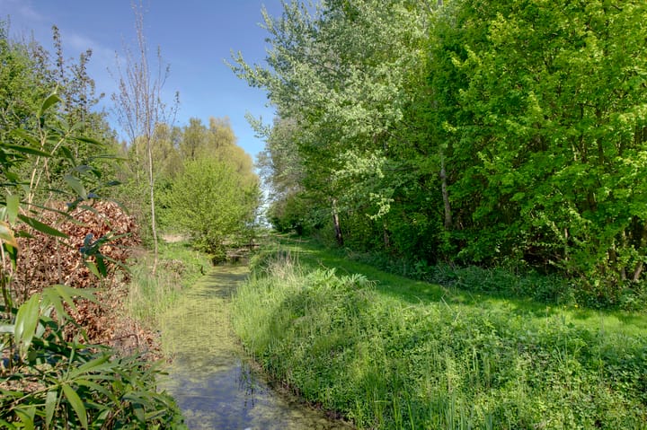 Foto 34 van Warffumerweg 35