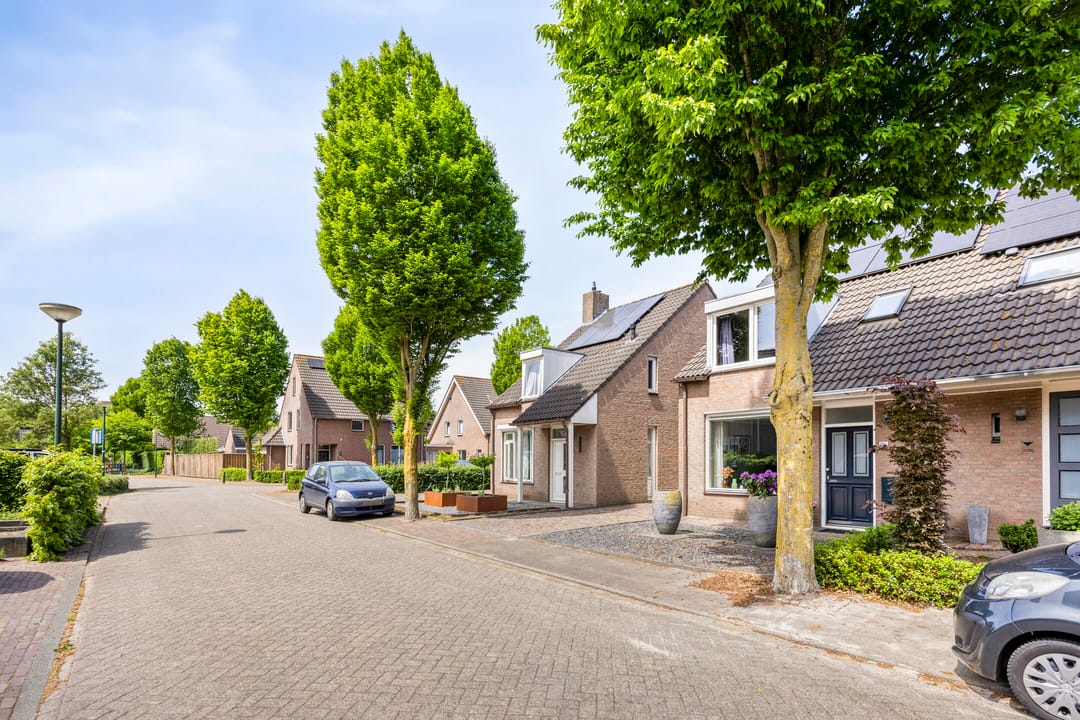 Foto 2 van Sikkel 11