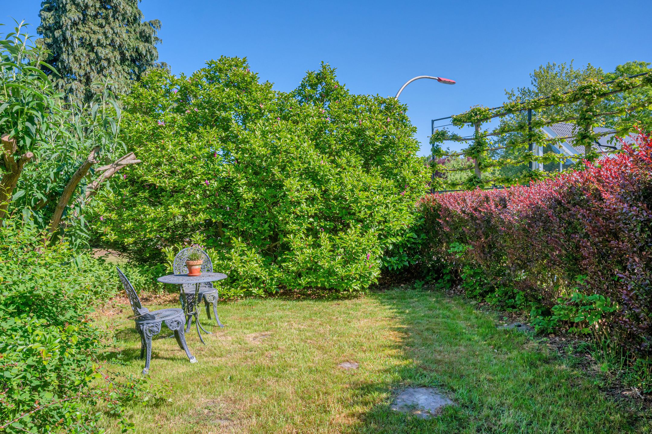 Foto 81 van Wagenborgerweg 54